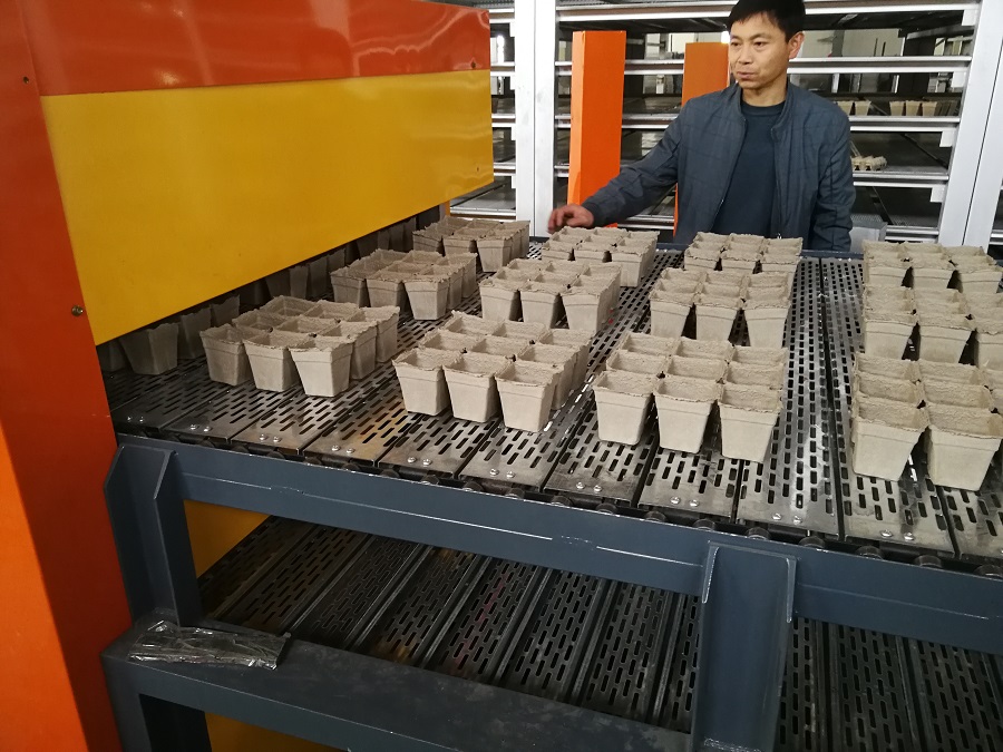 瑞典客戶(hù)訂購(gòu)紙漿育苗杯設(shè)備